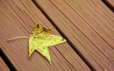 How falling leaves can spell disaster for your deck and cement