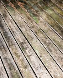 plan pressure washing early